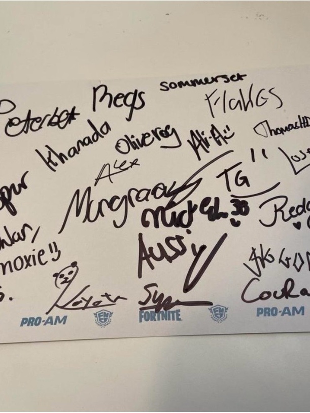 Fortnite PRO-AM Autograph Poster - White with Black Signatures